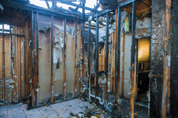 Professional Fire Damage Removal technician working in Upper Black Eddy, PA
