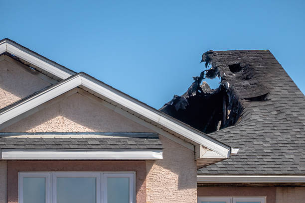 Top rated local Fire Damage Removal specialists in Upper Black Eddy, PA